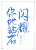 你如钻石般闪耀英文