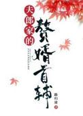 夫郎家的赘婿首辅讲的什么