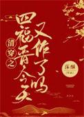 清穿之四爷的宠妃全文阅读