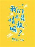 我们不是情敌吗百度TXT
