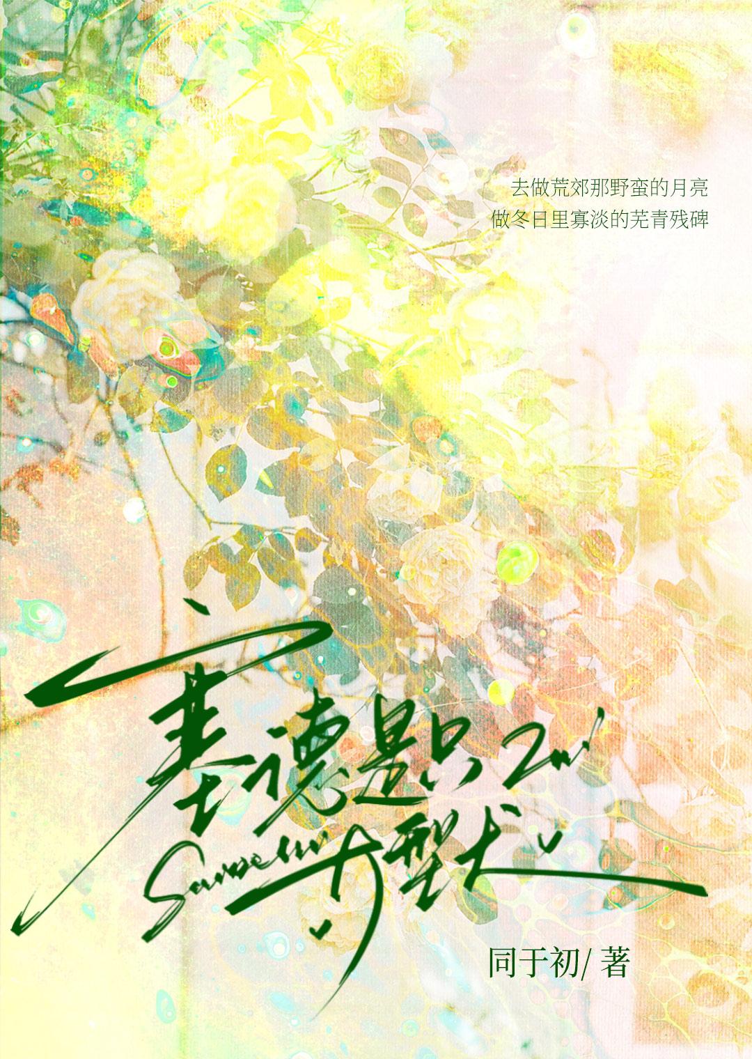 塞德是什么意思