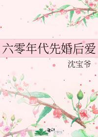 六零年代先婚后爱沈宝爷