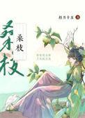 古代药膳手札免费阅读