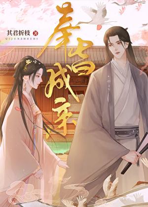 奉旨成亲全本TXT