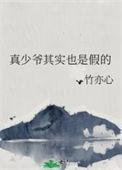 真少爷其实也是假的免费阅读