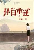 择日重逢十夜灯番外