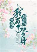 穿成替身后我跑了免费
