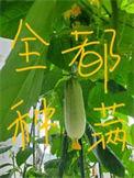 修真界都把我当团宠[穿书