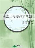 当富二代穿成了赘婿作者西瓜翠衣