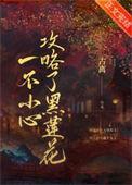 古离一不小心攻略了黑莲花
