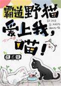 霸道野猫爱上我喵番外