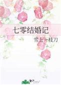 七零年代结婚记txt