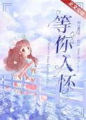 我等你入怀