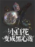 末世重生白莲花怀孕