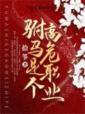 驸马是个高危职业百度百科