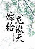 嫁给龙傲天by张源起txt百度
