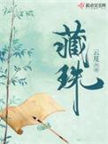 藏珠by