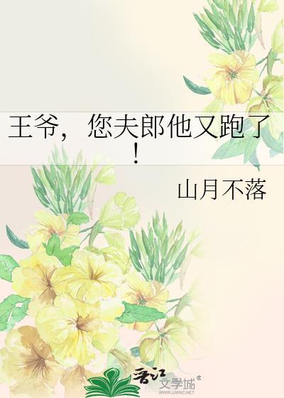 王爷夫人又逃婚了