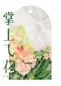 掌上飞燕的下一句