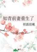 穿书知青前妻