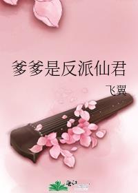我为功德付出的那些日子 月照溪