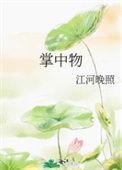 掌中物电视剧