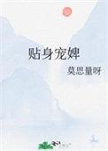 贴身宠婢作者青琐带