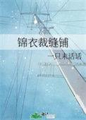 锦衣现代文284