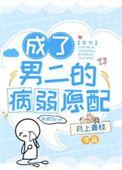 我成了男二号