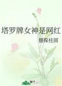 塔罗牌占卜女明星
