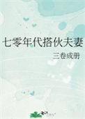 七零年代搭伙夫妻大结局