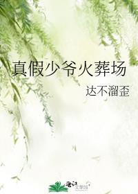 真假少爷bkpp
