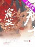 窥望免费阅读