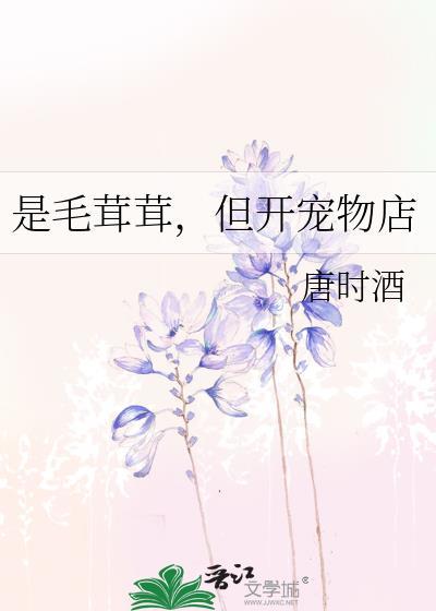 毛茸茸的小宠物有哪些