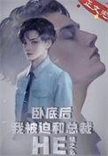 卧底后我意外把总裁掰弯了29