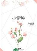 小情种竹枳txt