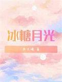 冰糖月光宫辞