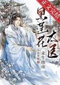 黑莲花攻略手册解读