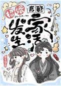 招婿说明