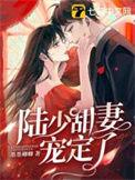 陆少甜蜜宠妻