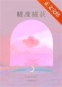 捕捉率什么意思
