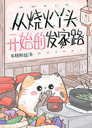 从烧火丫头开始的发家路笔趣阁