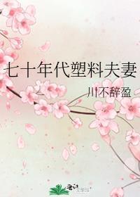 七十年代塑料夫妻川不辞盈