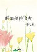 朕靠美貌追妻 楼见溪