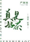真是好茶严颂颂免费阅读全文