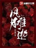 风月难逃女主丁岚