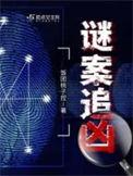 谜案追凶剧情简介详细