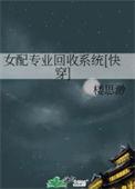 女配专注于事业之类