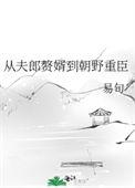 从夫郎赘婿到朝野重臣番外