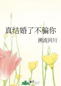 真结婚了不骗你TXT免费阅读